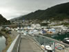 Picton Harbour 