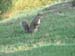 249DSC00019